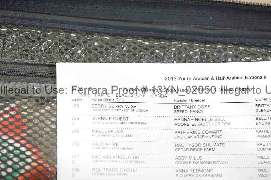 Proof 13yn_02050