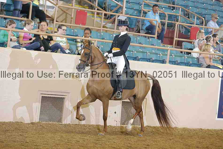 Proof 13yn_02051