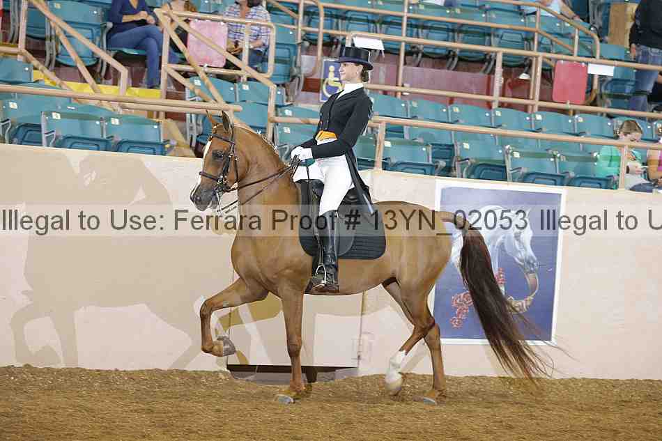 Proof 13yn_02053
