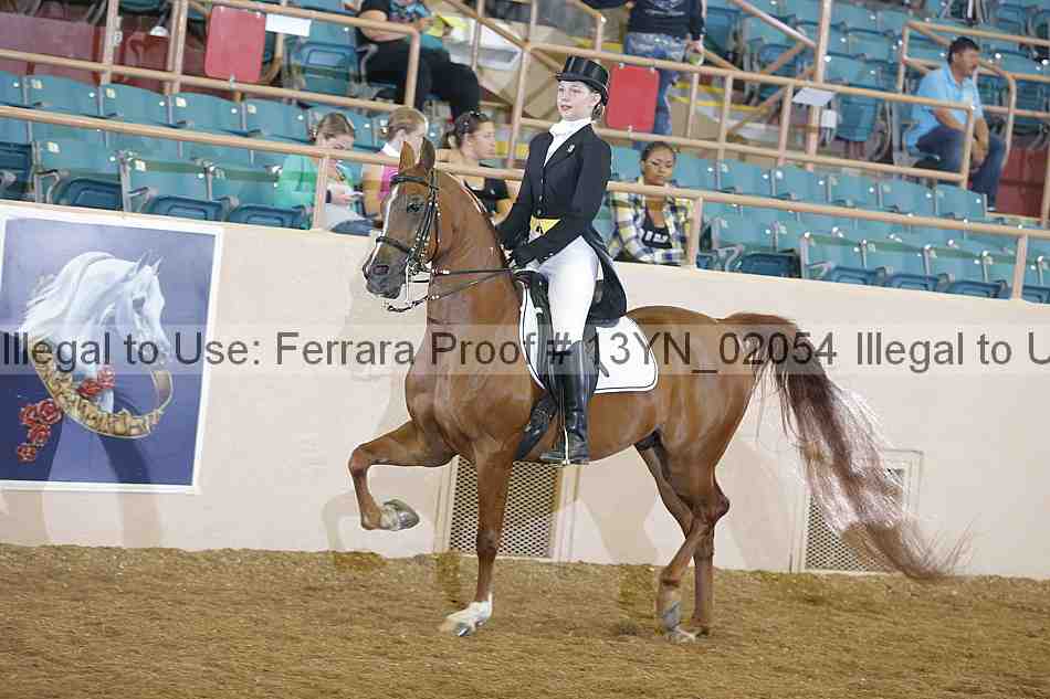Proof 13yn_02054