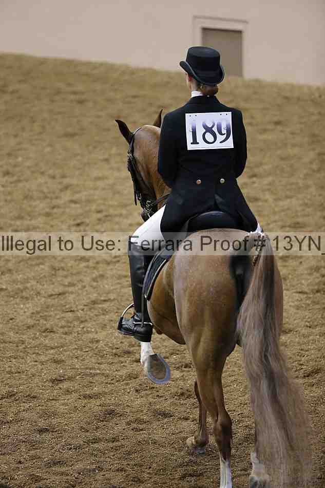 Proof 13yn_02057