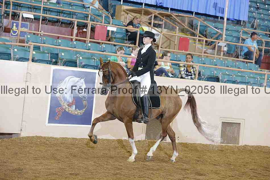 Proof 13yn_02058