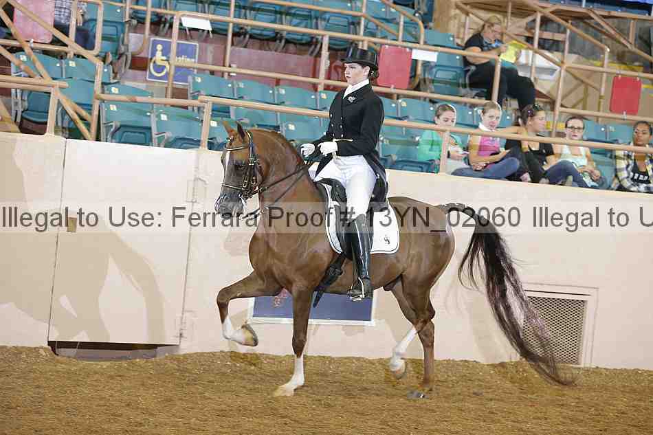 Proof 13yn_02060