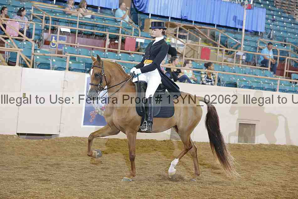 Proof 13yn_02062