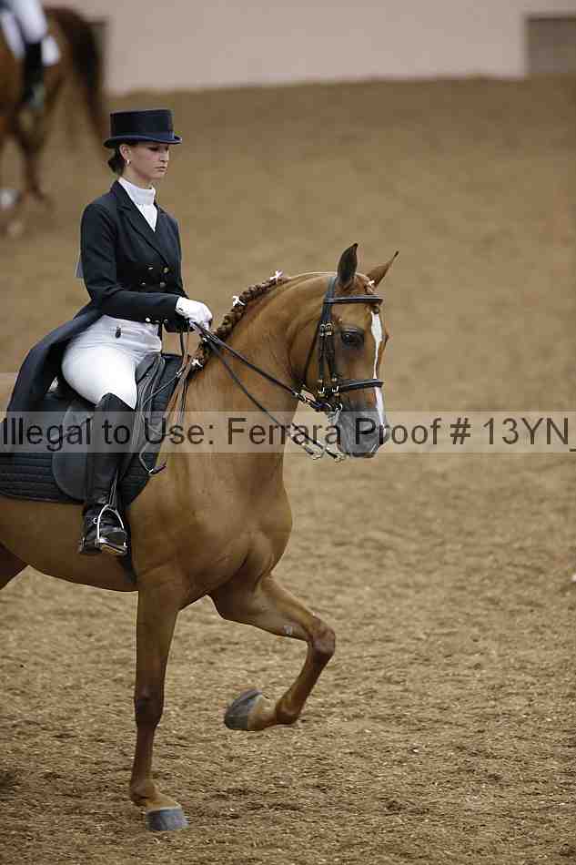 Proof 13yn_02063