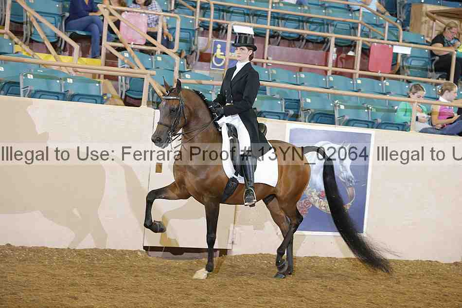 Proof 13yn_02064