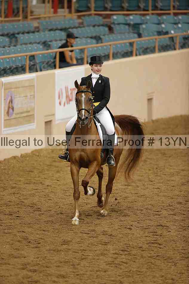 Proof 13yn_02065