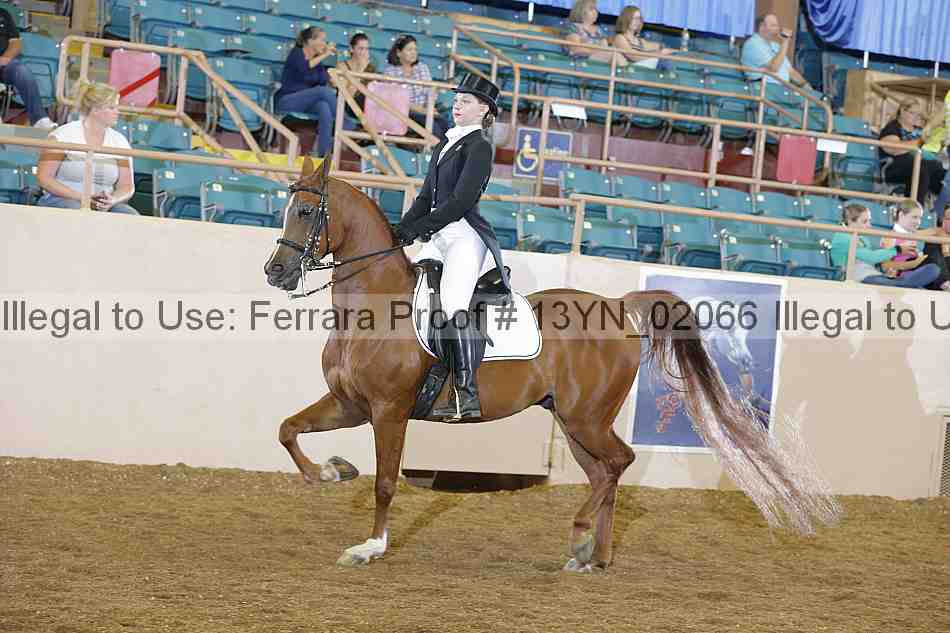 Proof 13yn_02066