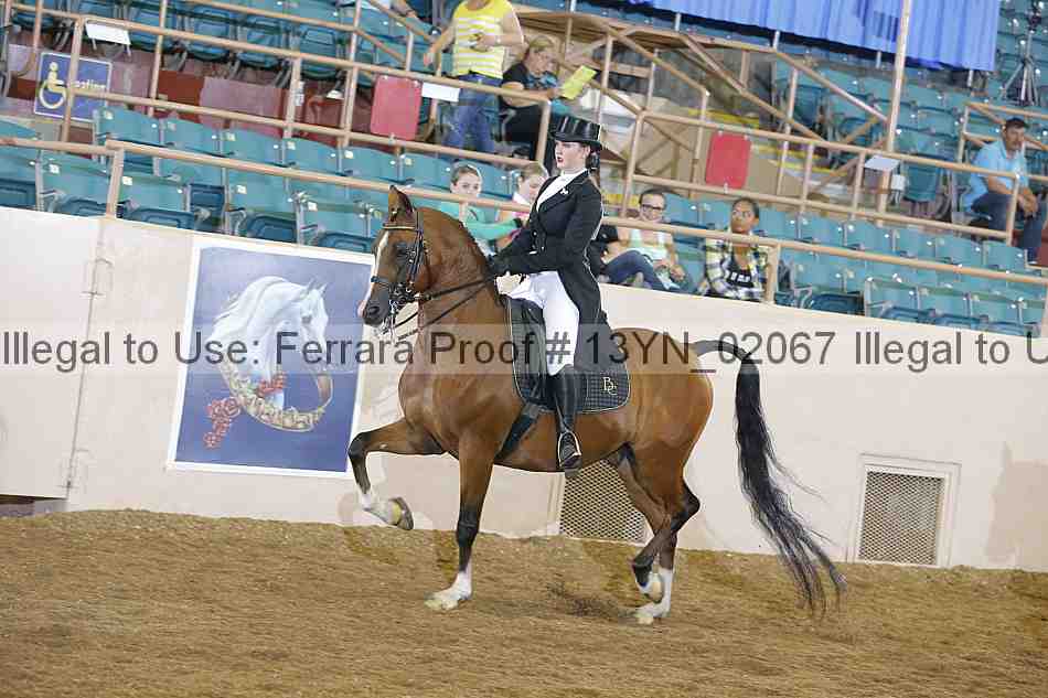 Proof 13yn_02067