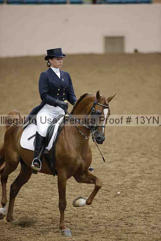 Proof 13yn_02068