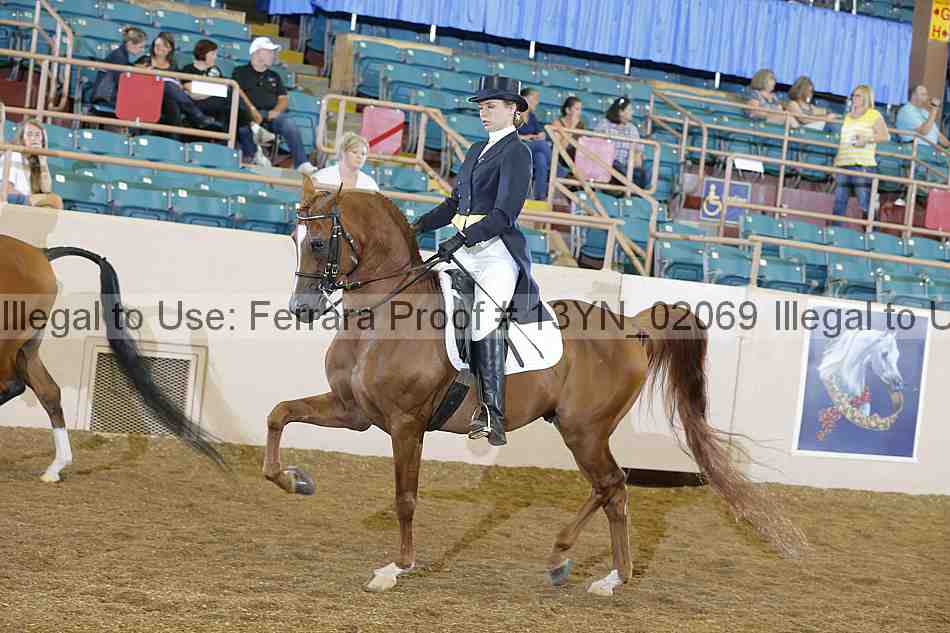 Proof 13yn_02069