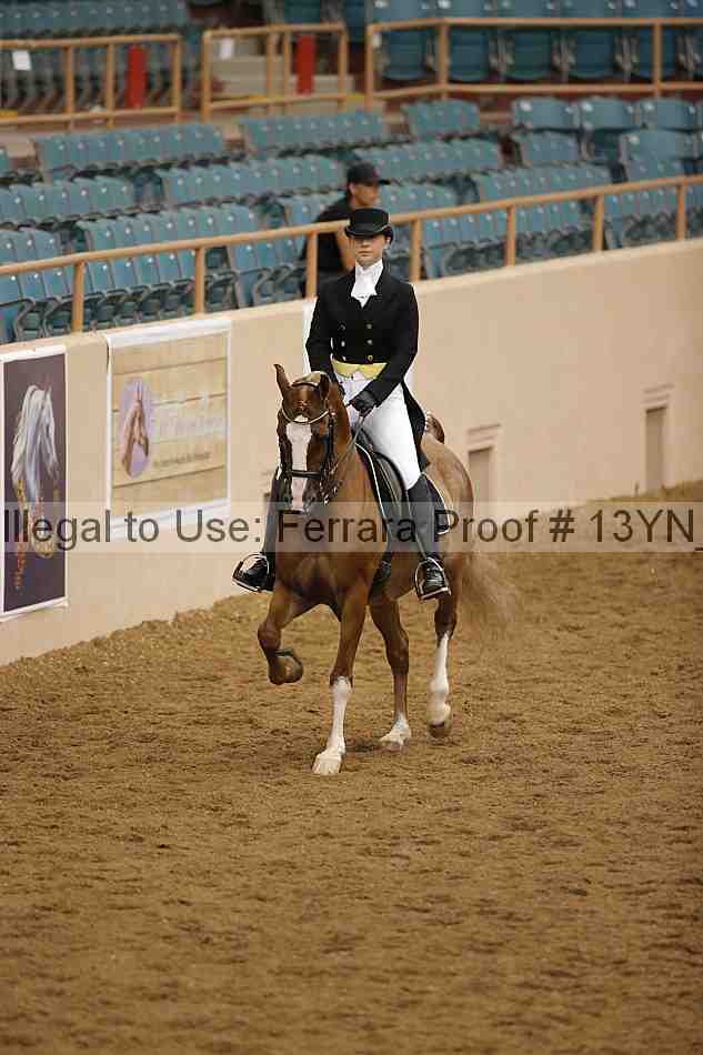Proof 13yn_02070