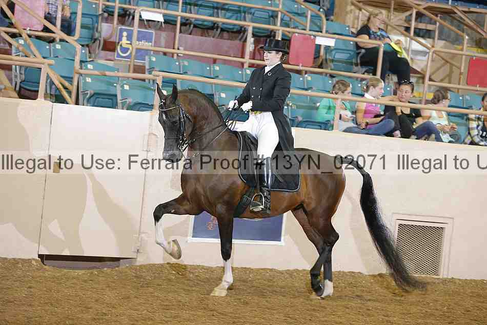 Proof 13yn_02071