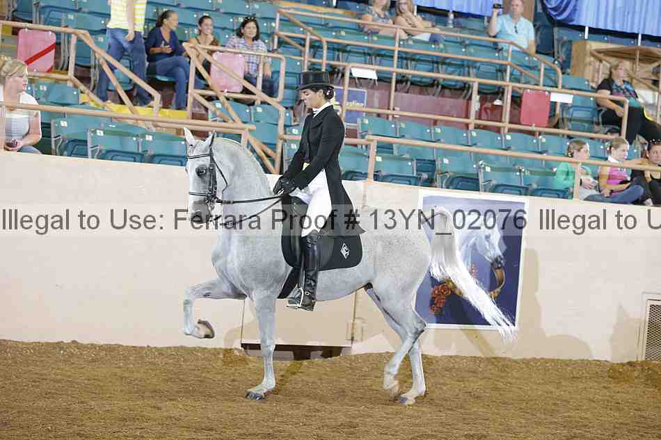 Proof 13yn_02076