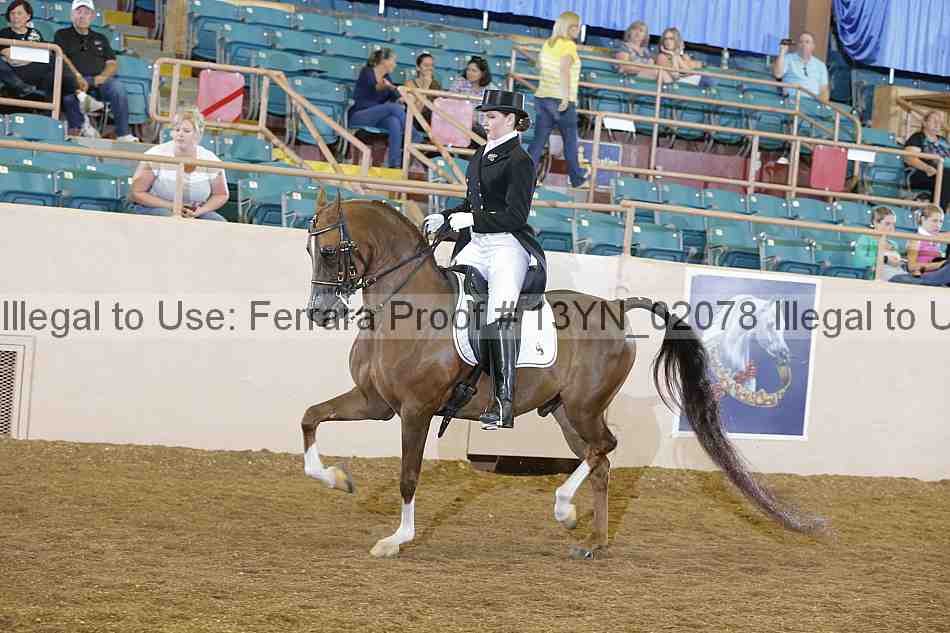 Proof 13yn_02078