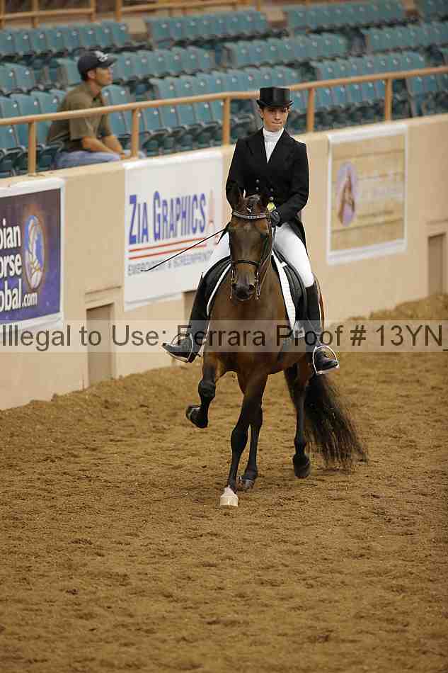 Proof 13yn_02079
