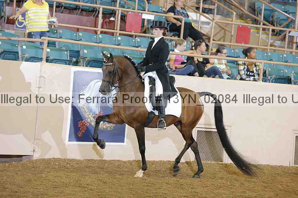 Proof 13yn_02084