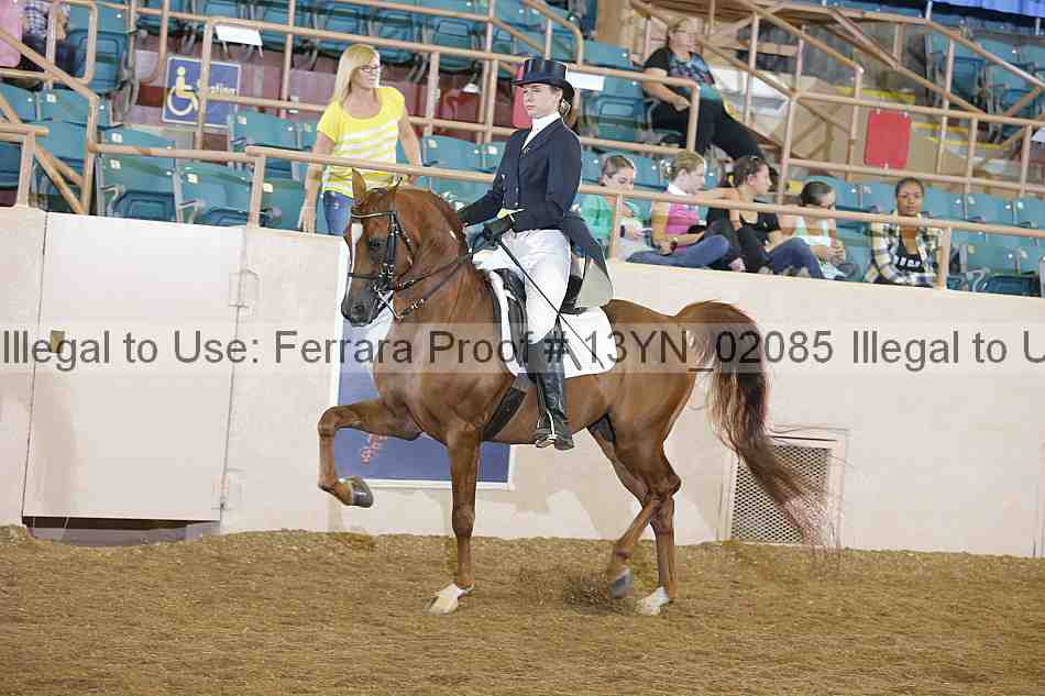 Proof 13yn_02085