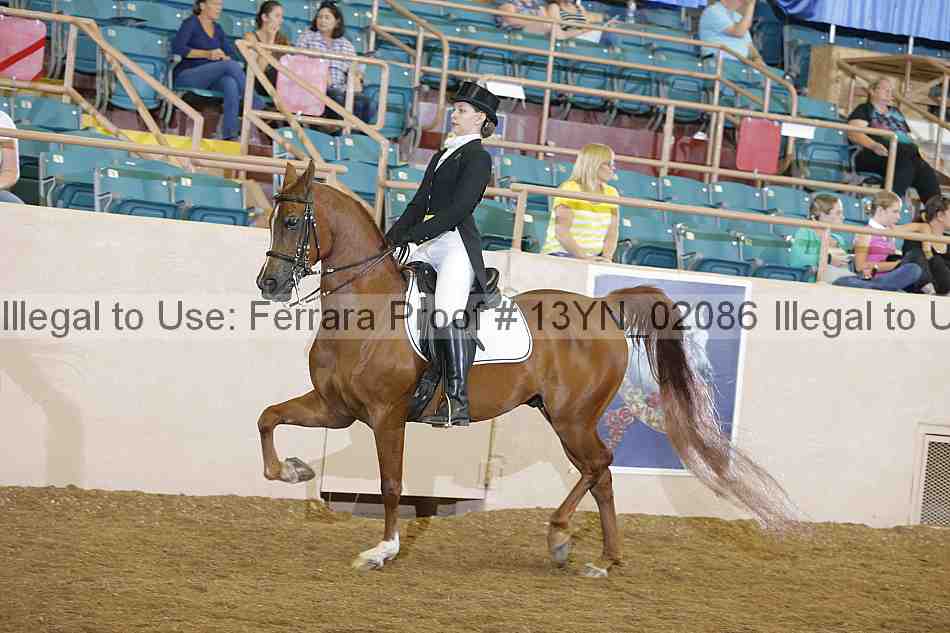 Proof 13yn_02086