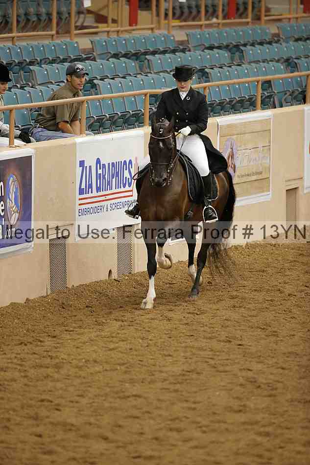 Proof 13yn_02087
