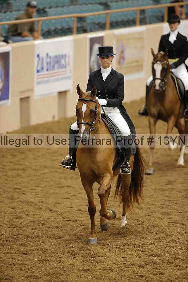 Proof 13yn_02088