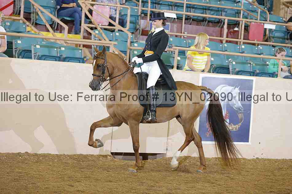 Proof 13yn_02090