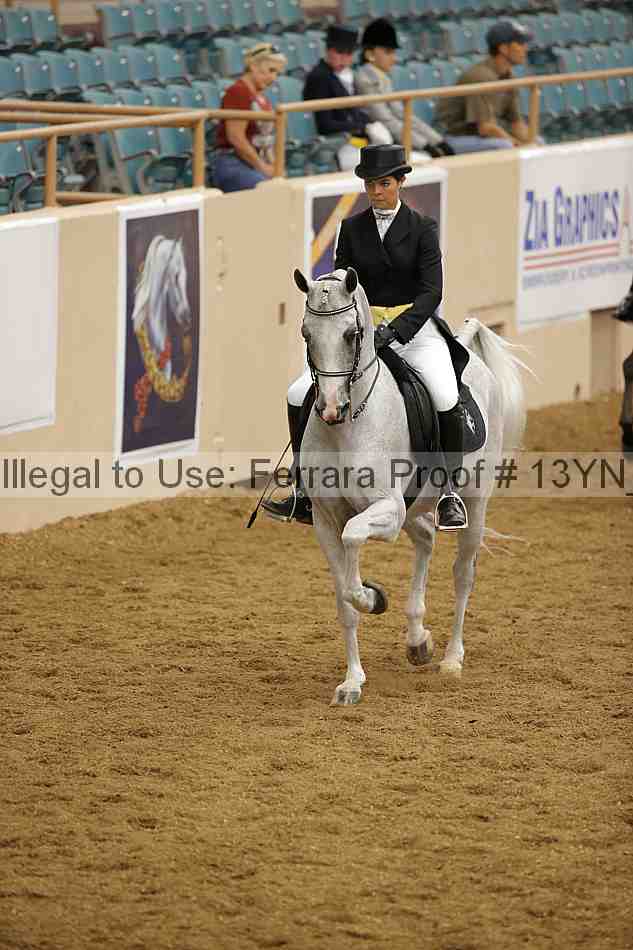 Proof 13yn_02091