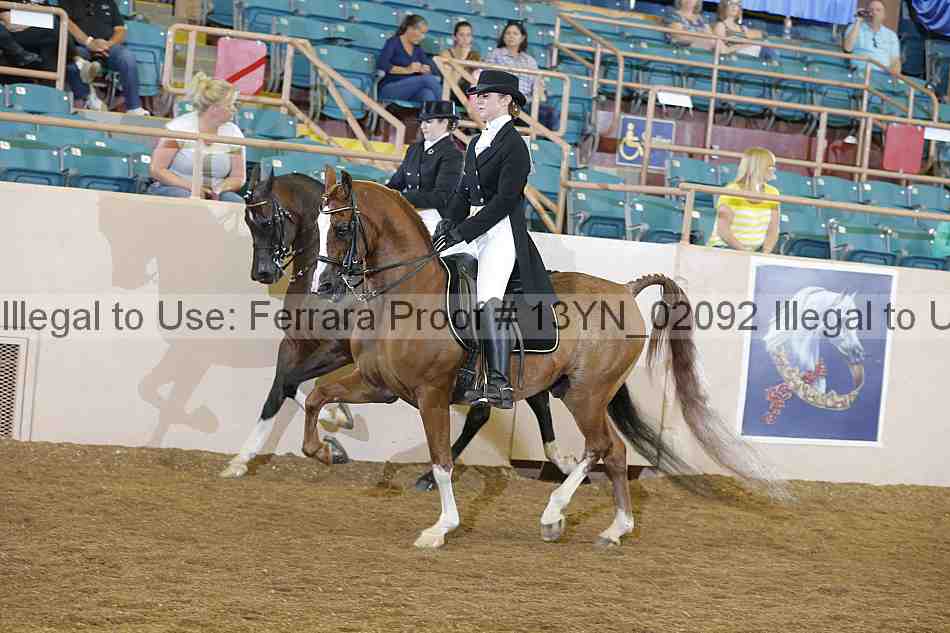 Proof 13yn_02092