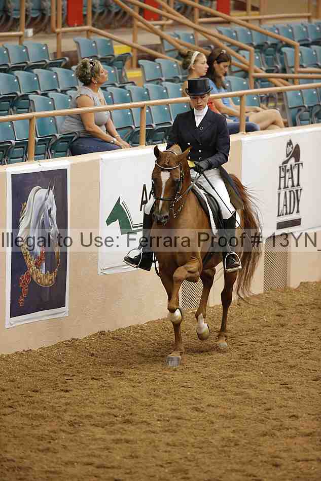Proof 13yn_02094