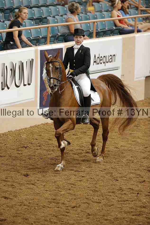 Proof 13yn_02095