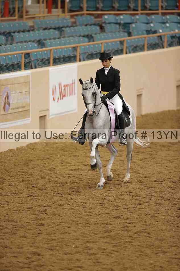 Proof 13yn_02099