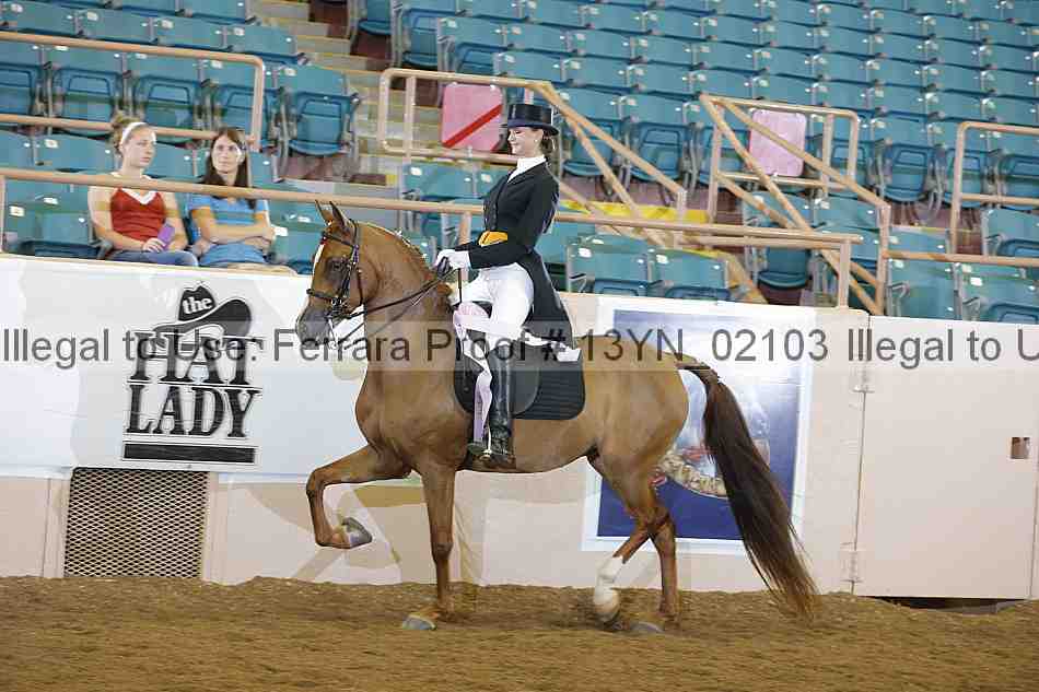 Proof 13yn_02103
