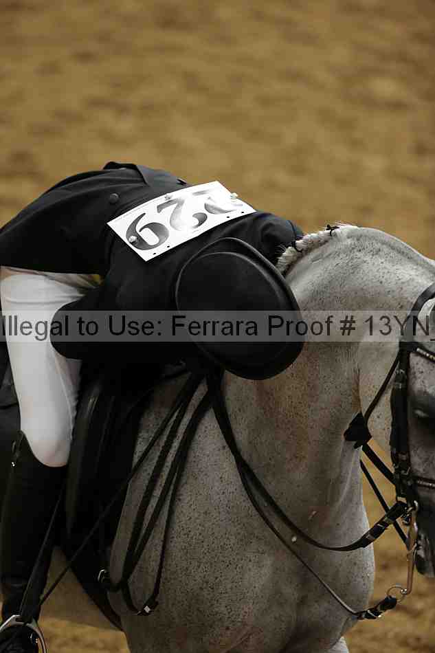 Proof 13yn_02106