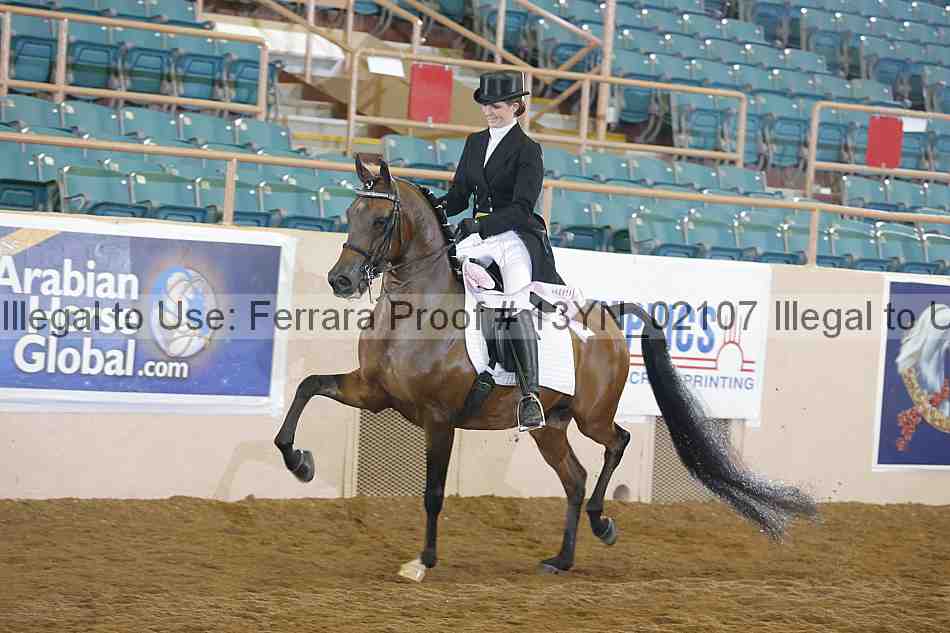 Proof 13yn_02107