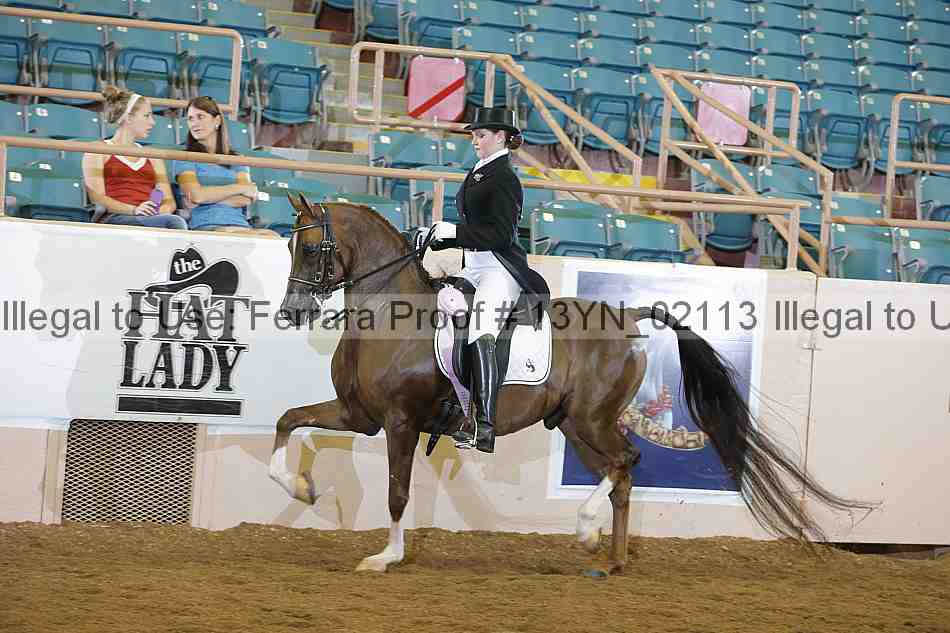 Proof 13yn_02113