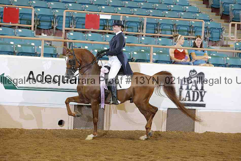 Proof 13yn_02116