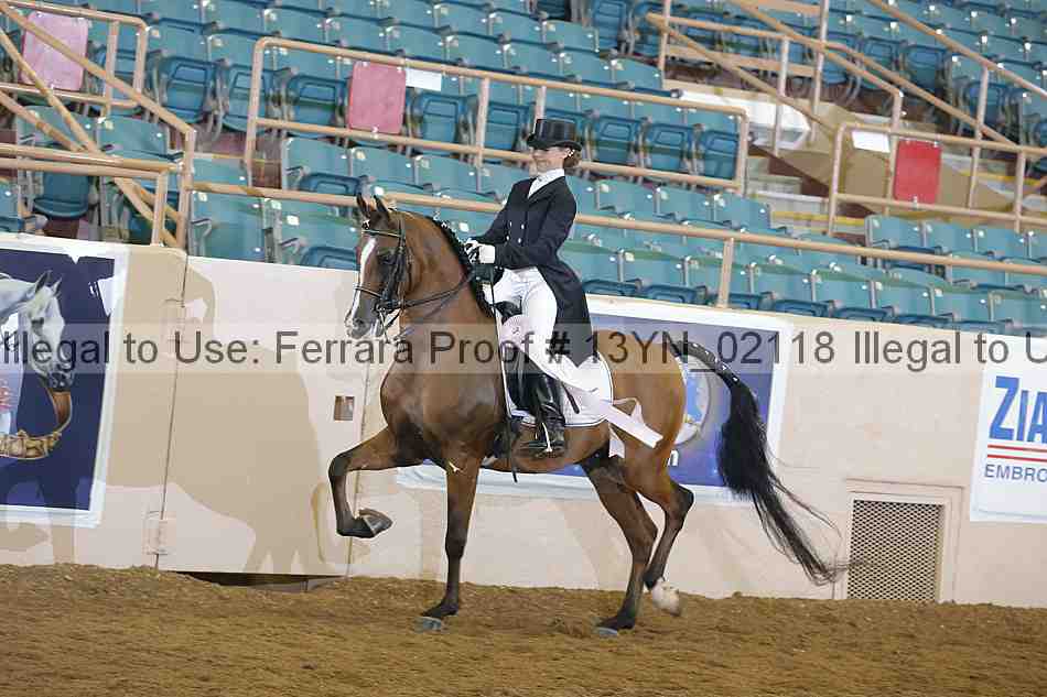 Proof 13yn_02118