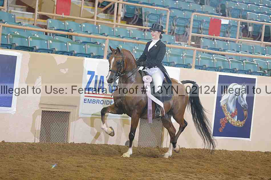 Proof 13yn_02124