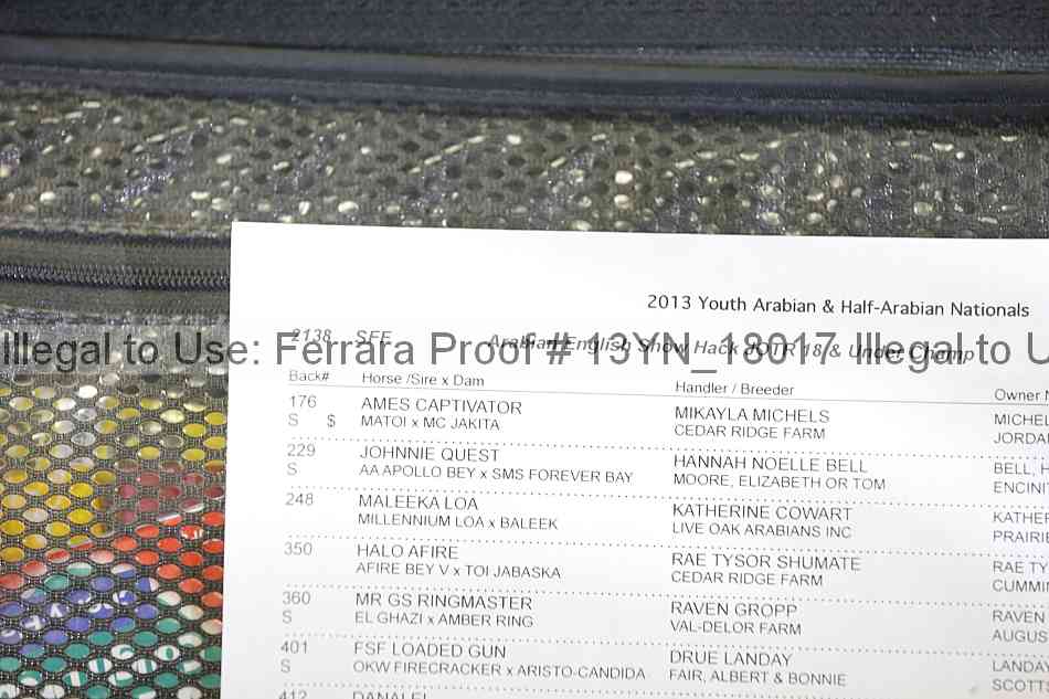 Proof 13yn_18017