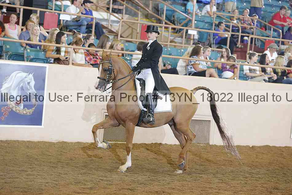 Proof 13yn_18022