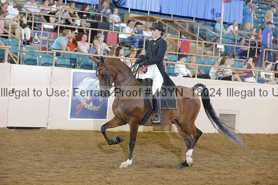 Proof 13yn_18024