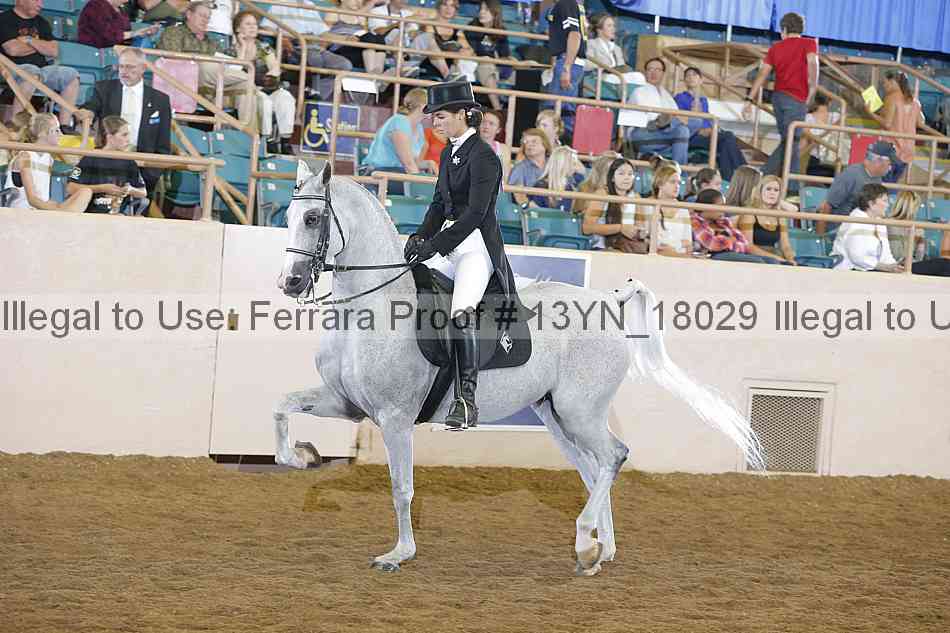 Proof 13yn_18029