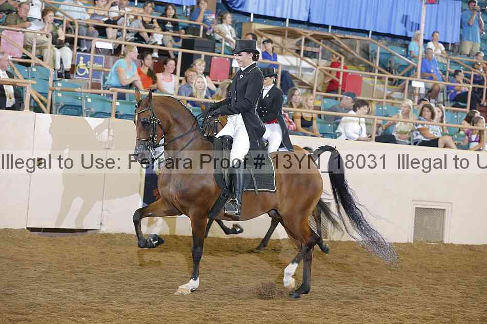 Proof 13yn_18031