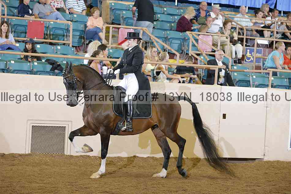 Proof 13yn_18038