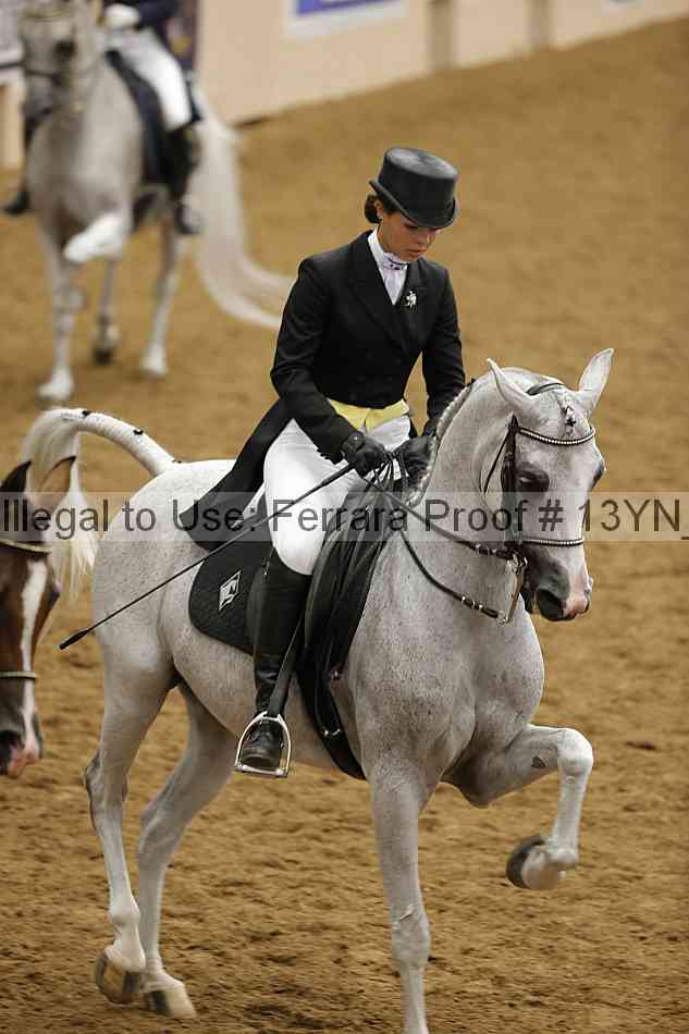 Proof 13yn_18049