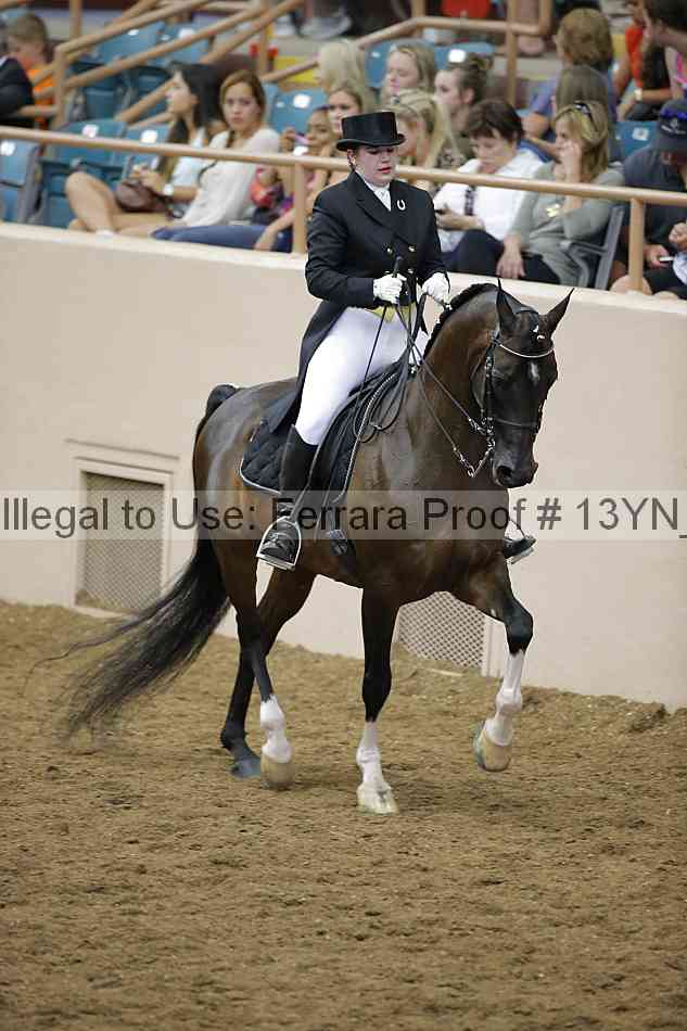 Proof 13yn_18055