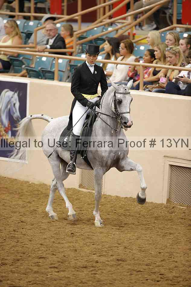 Proof 13yn_18058