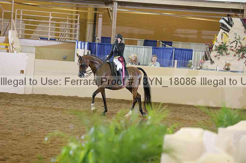 Proof 13yn_18086