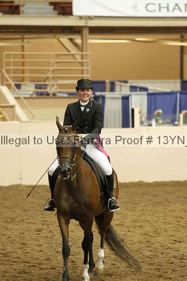 Proof 13yn_18094