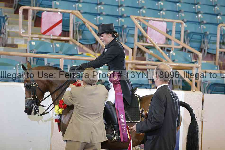 Proof 13yn_18096